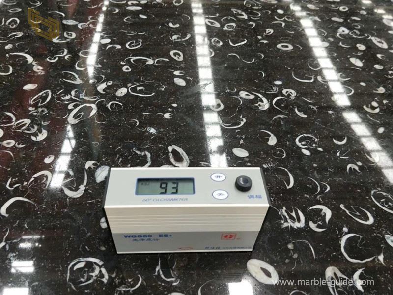 Sea shell black marble slab 04