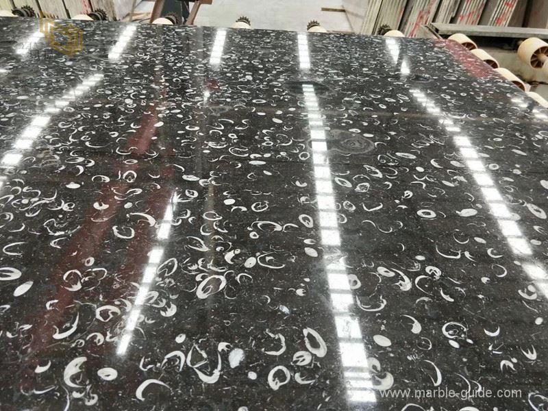 Sea shell black marble slab 03