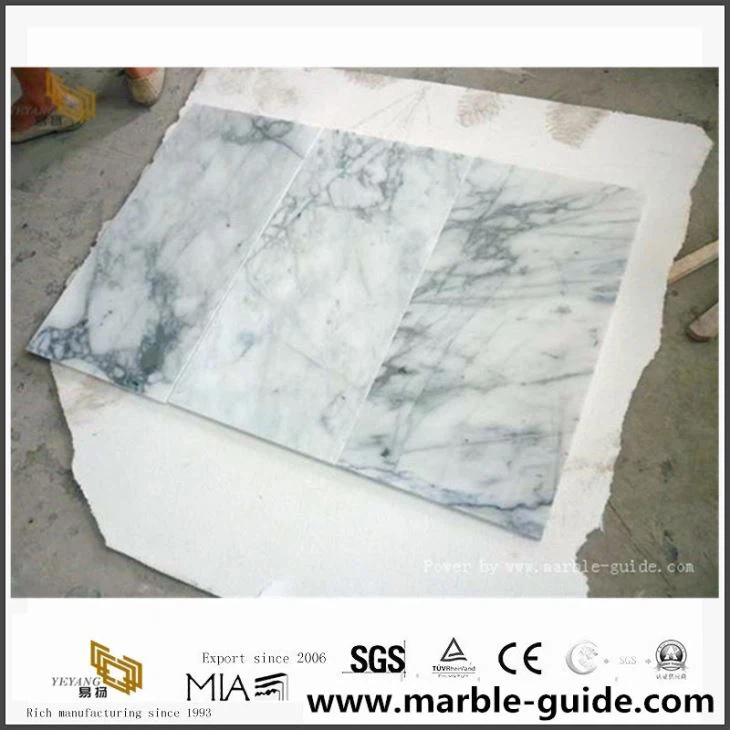 China White Arabescato Bianco Marble Tiles