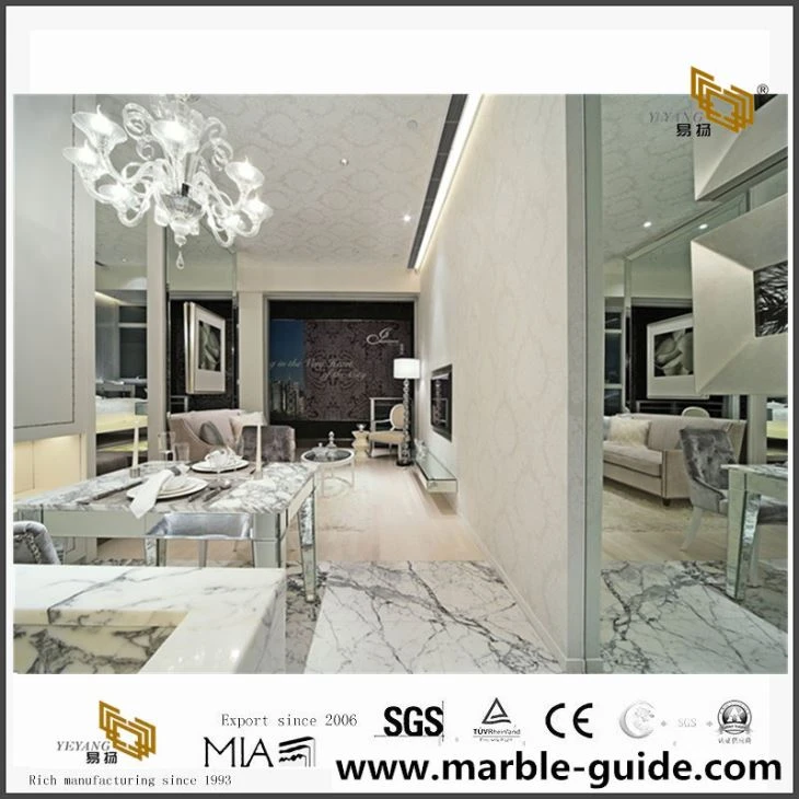 Elegant Calacatta Marble Villa Project