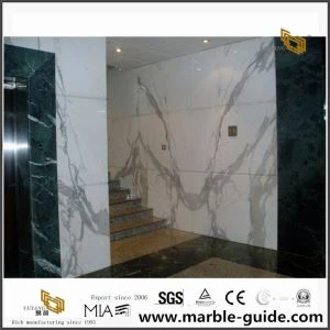 Statuario مشروع هندسة البلديات الرخامية
