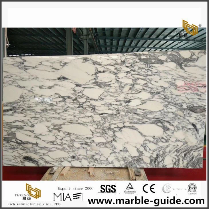 Beautiful Arabescato Marble Slabs