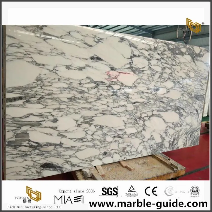 Beautiful Arabescato Marble Slabs